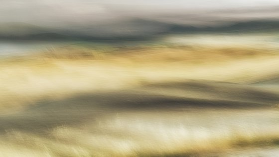 Painted dream #36