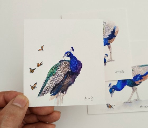 Peacock Miniature Art