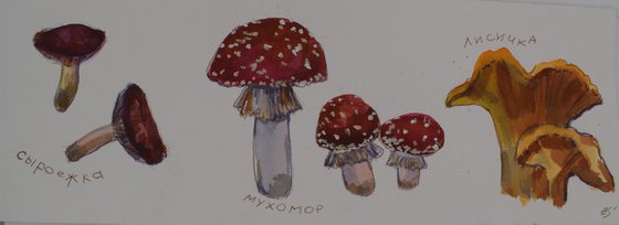 Mushroom season