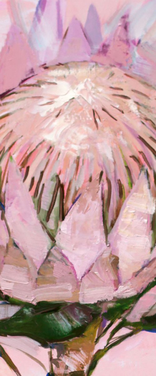 Protea by Anastasia Mazur-Skrobova