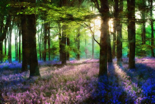 Bluebells 7 by Alistair Wells