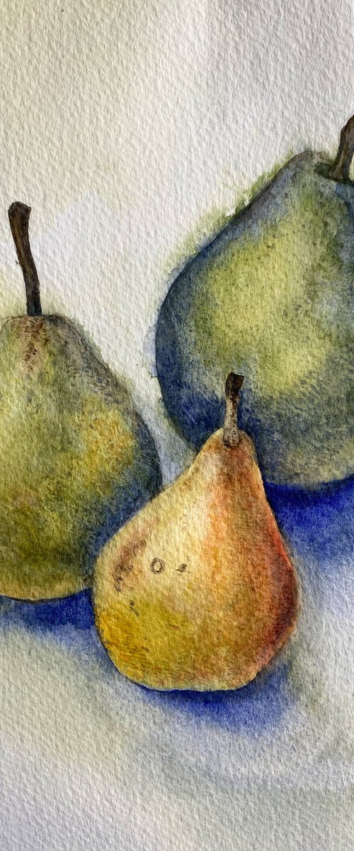 Three pears watercolor still life illustration by Liliya Rodnikova