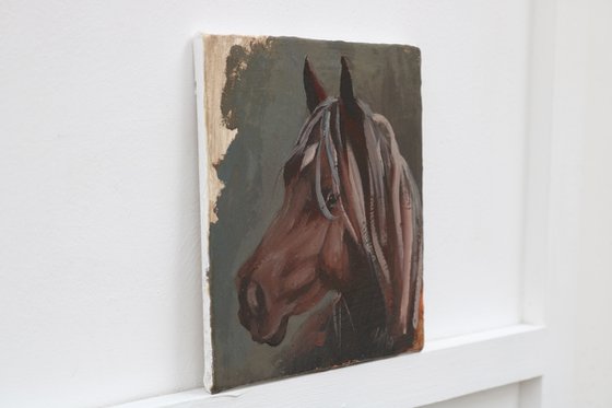 Equine Head Arab Chestnut (study 185)