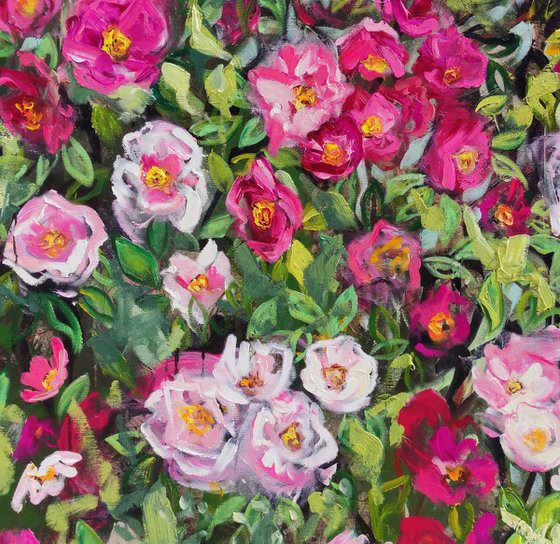 Briar Rose Bush