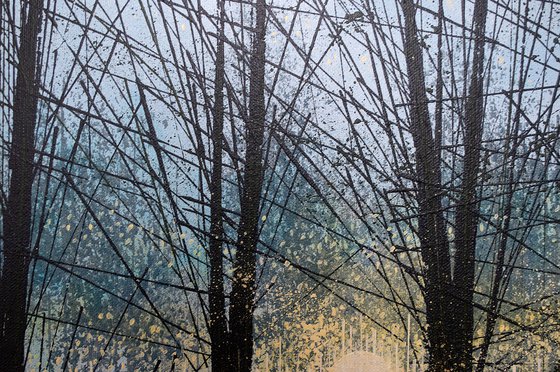 Forest Trees At Last Light