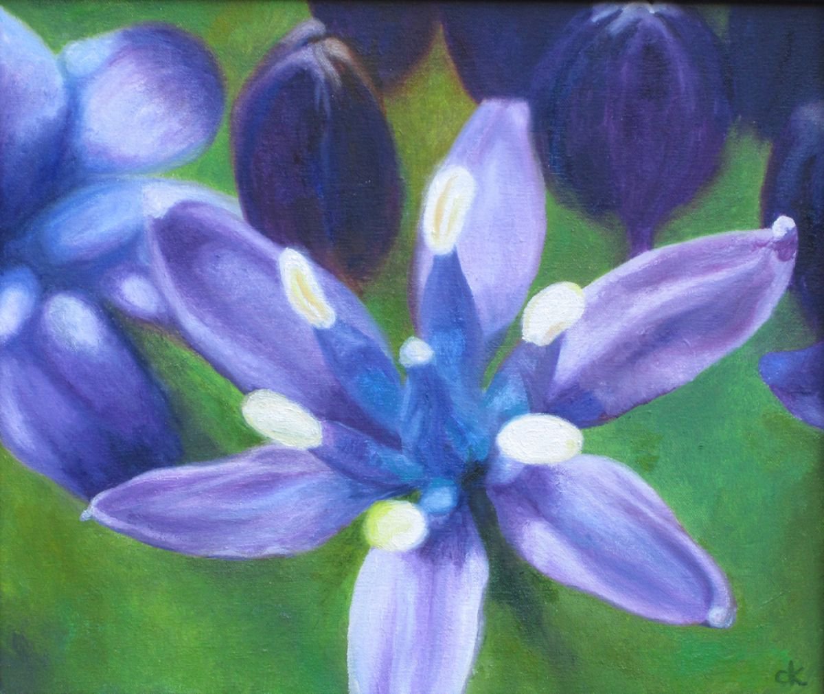 Blue Allium by Carole King