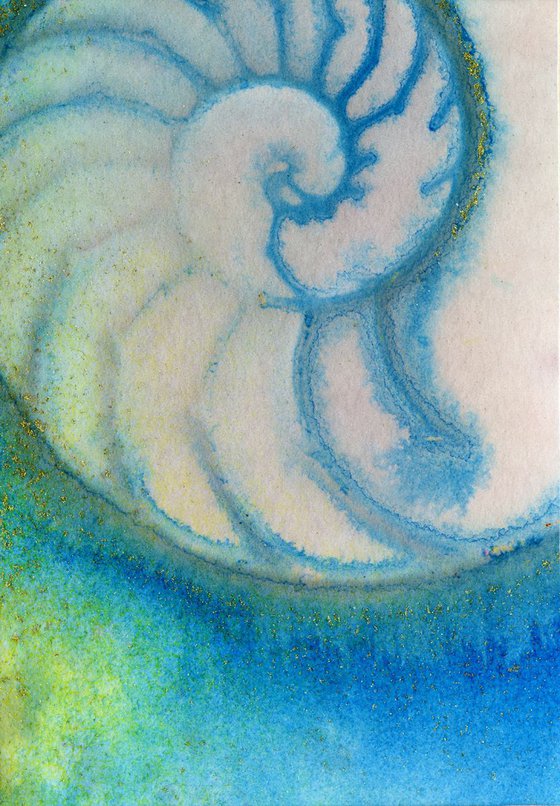 Nautilus Shell 988 - Sea Shell Watercolor by Kathy Morton Stanion