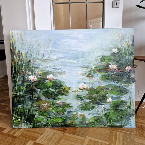 Water Lilies On The Shore