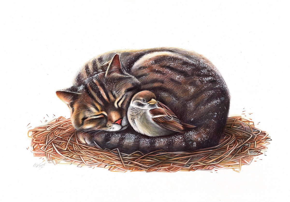 Photorealistic Animal Drawing By Daria Maier, 20 X 14, Trust Ii, Original Artwork