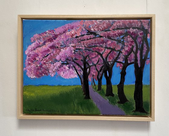 'Cherry trees, Edinburgh Meadows'