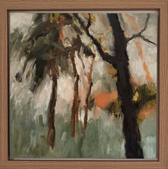 Autumn Trees