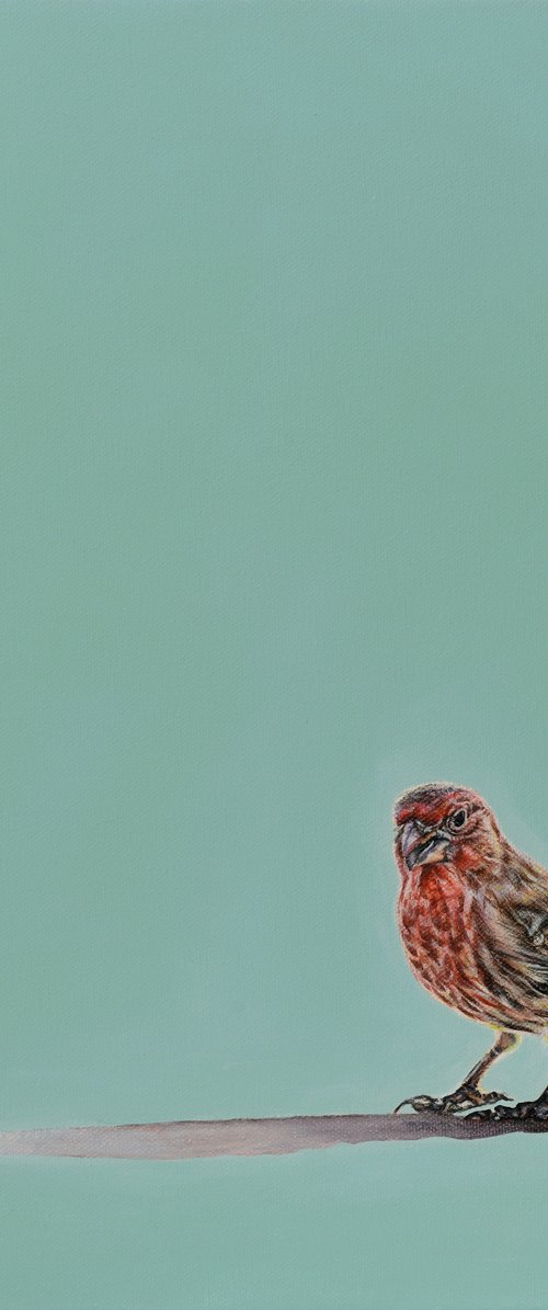 Birdsong by Natalie Toplass