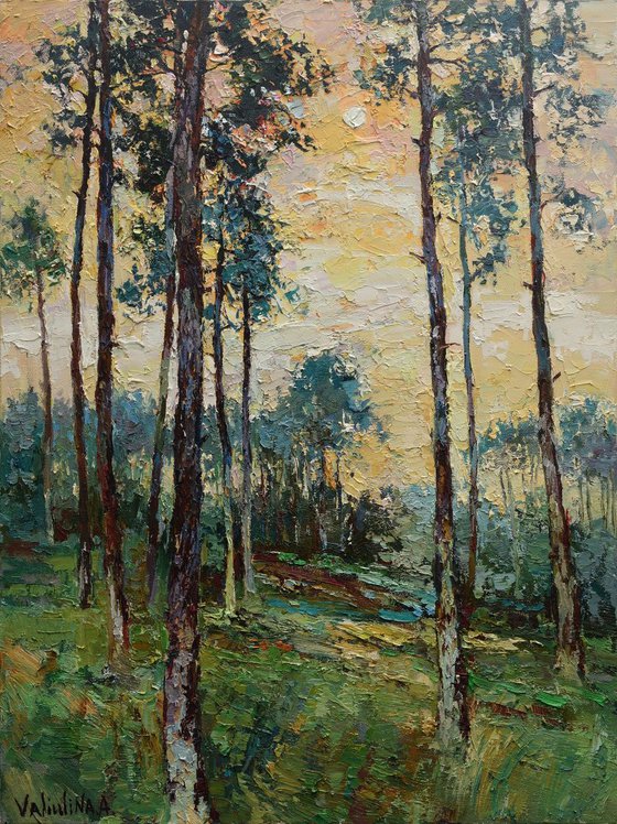 Forest landscape at sunset