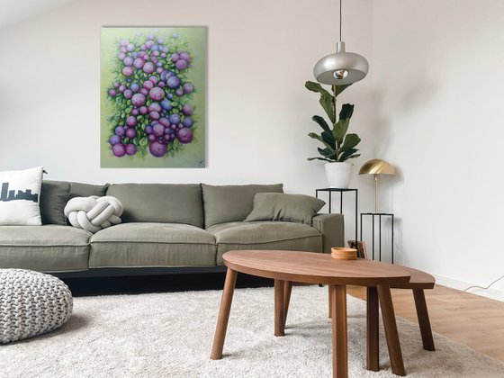 The Hydrangea Galaxy