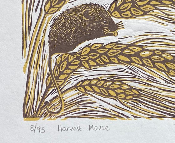 Harvest Mouse 8/95