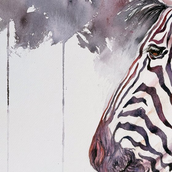 Zodiac_Zebra