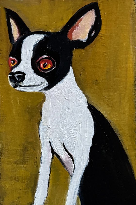 Little Big Dog