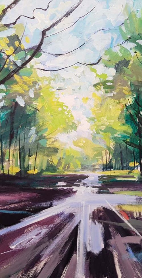 Puddles after Rain by David Pott