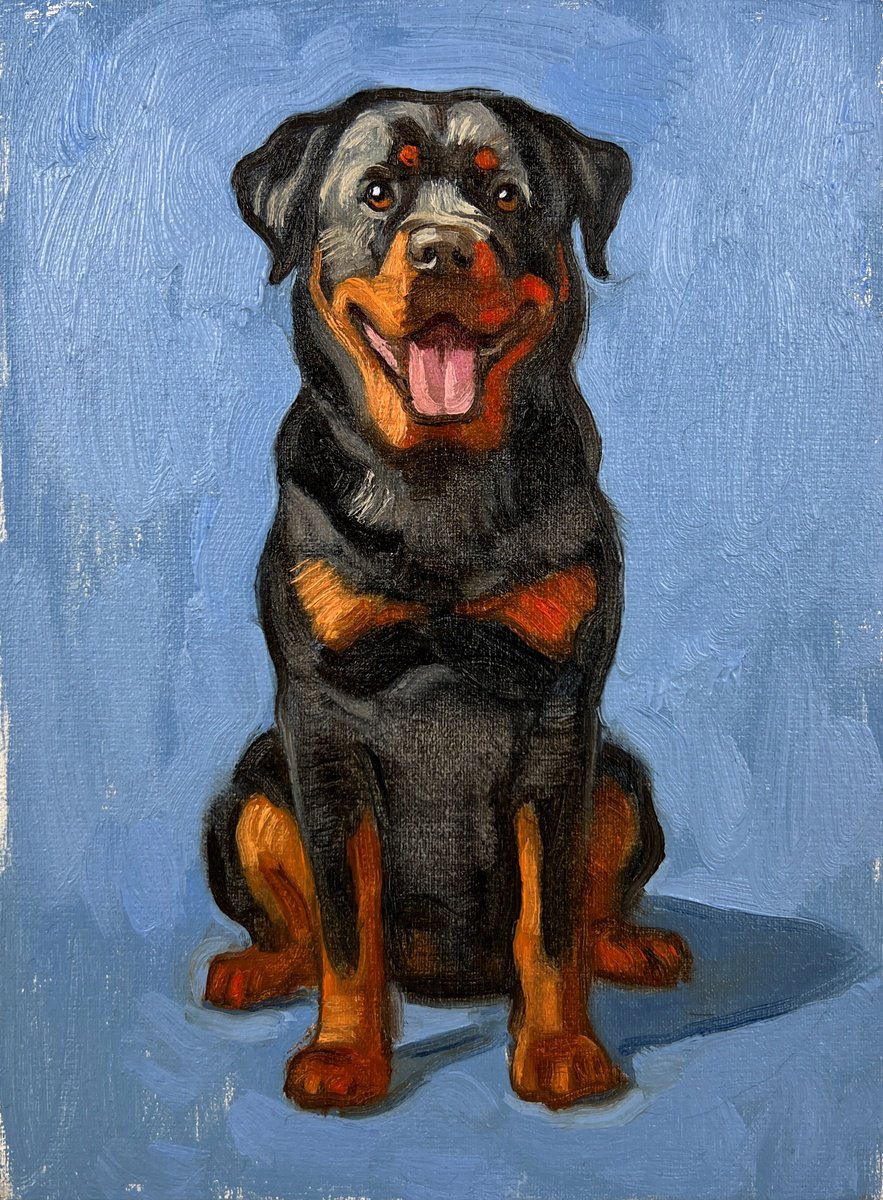 Rottweiler by Elina Arbidane