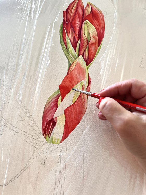 Algorithms of flowering.