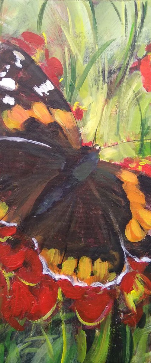 Butterfly by HELINDA (Olga Müller)
