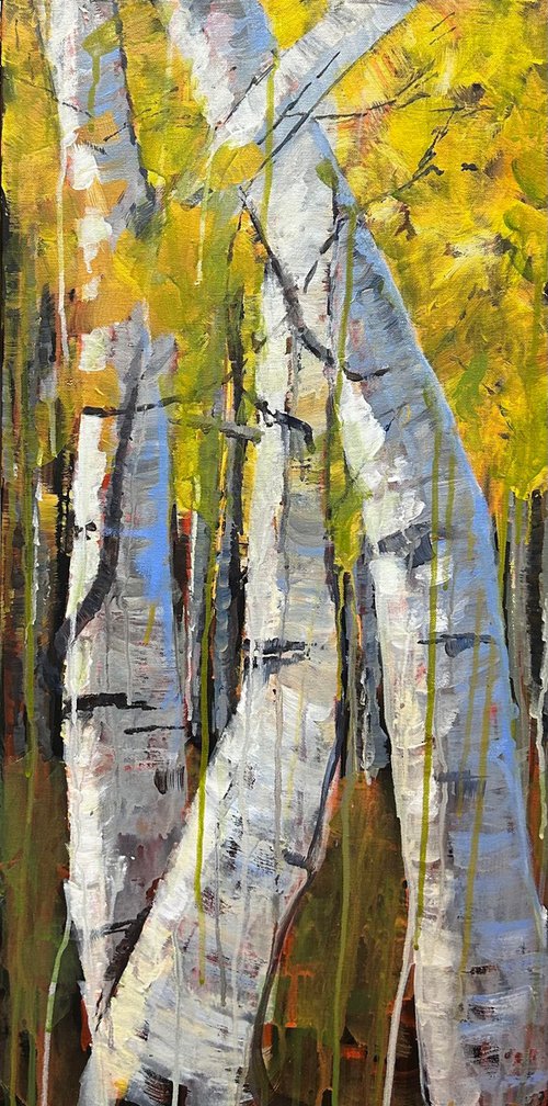 Birch Trees by Leah Kohlenberg