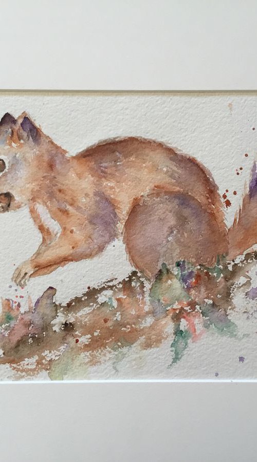 Squirrel by Sabrina’s Art