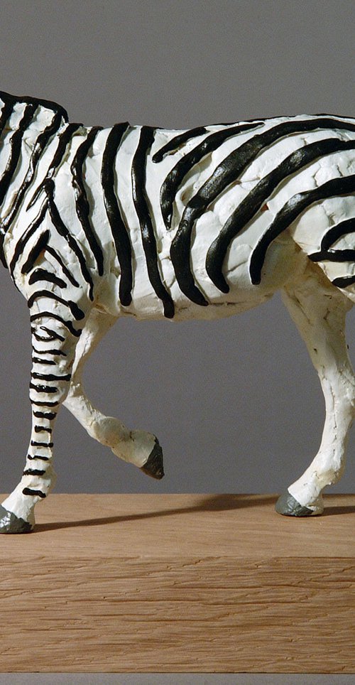 Zebra III by Holly Bennett