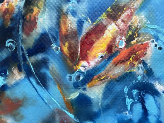 Orange Koi Fish Sunlight Water