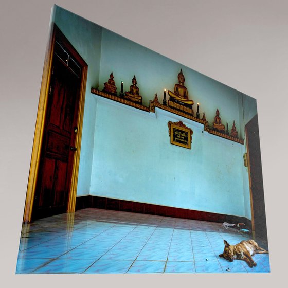 Temple Dogs of Laos No.7
