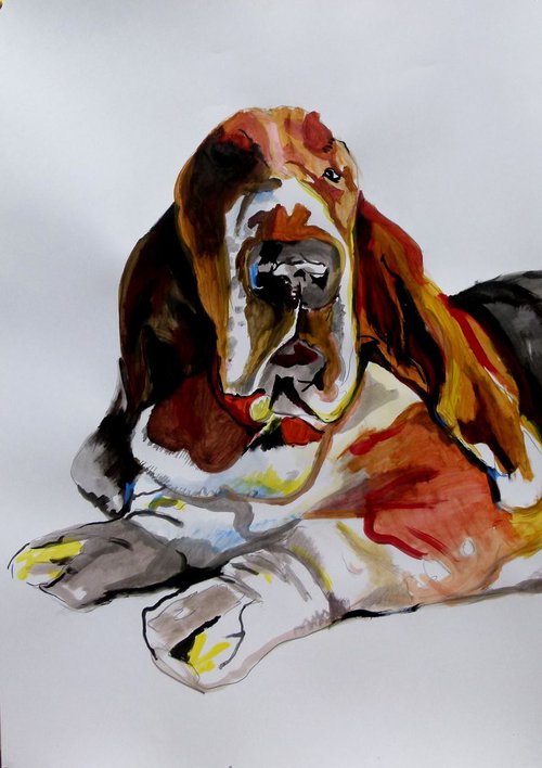 basset hound by Soso Kumsiashvili