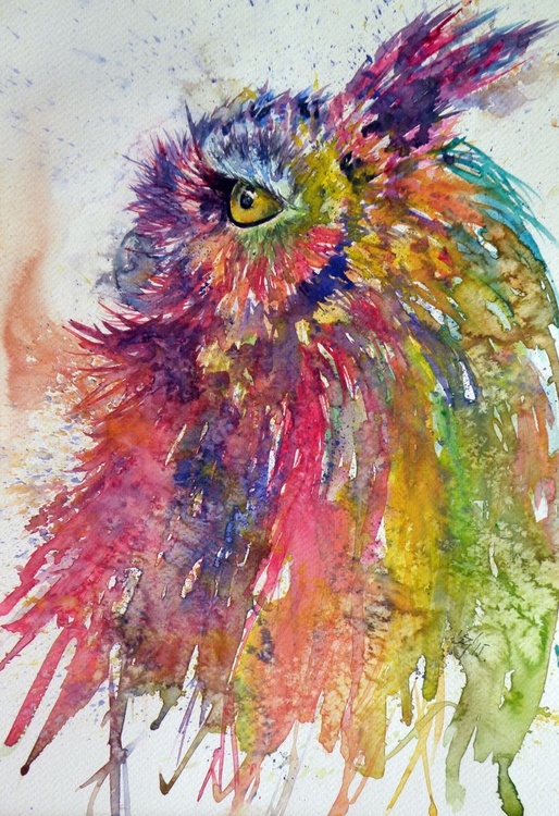 Colorful Owl By Kovacs Anna Brigitta Artfinder