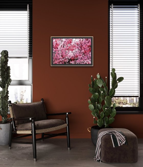 Romantic Sakura I (Samsung TV artwork)