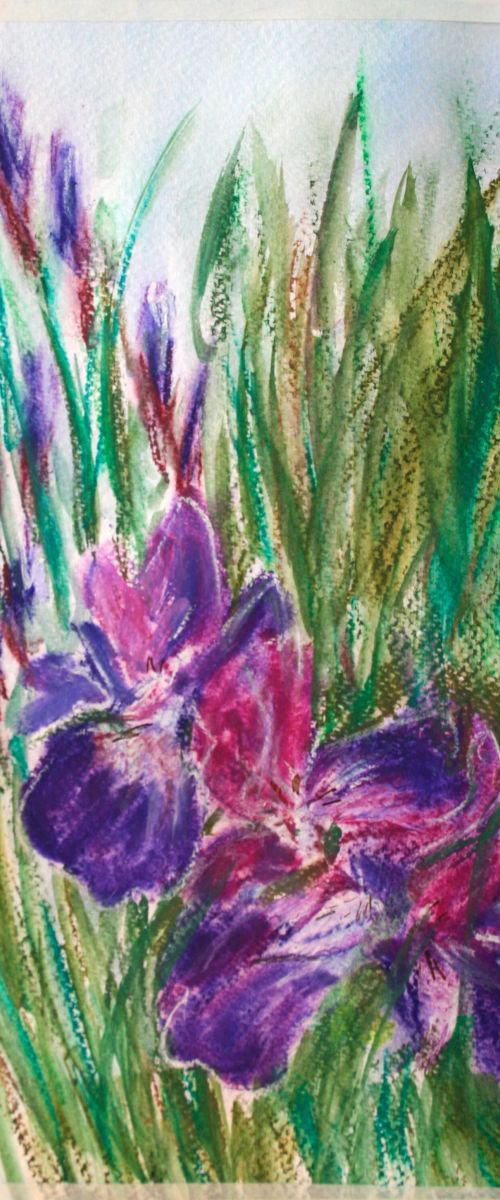 Iris flowers / Original Painting of Salana by Salana Art