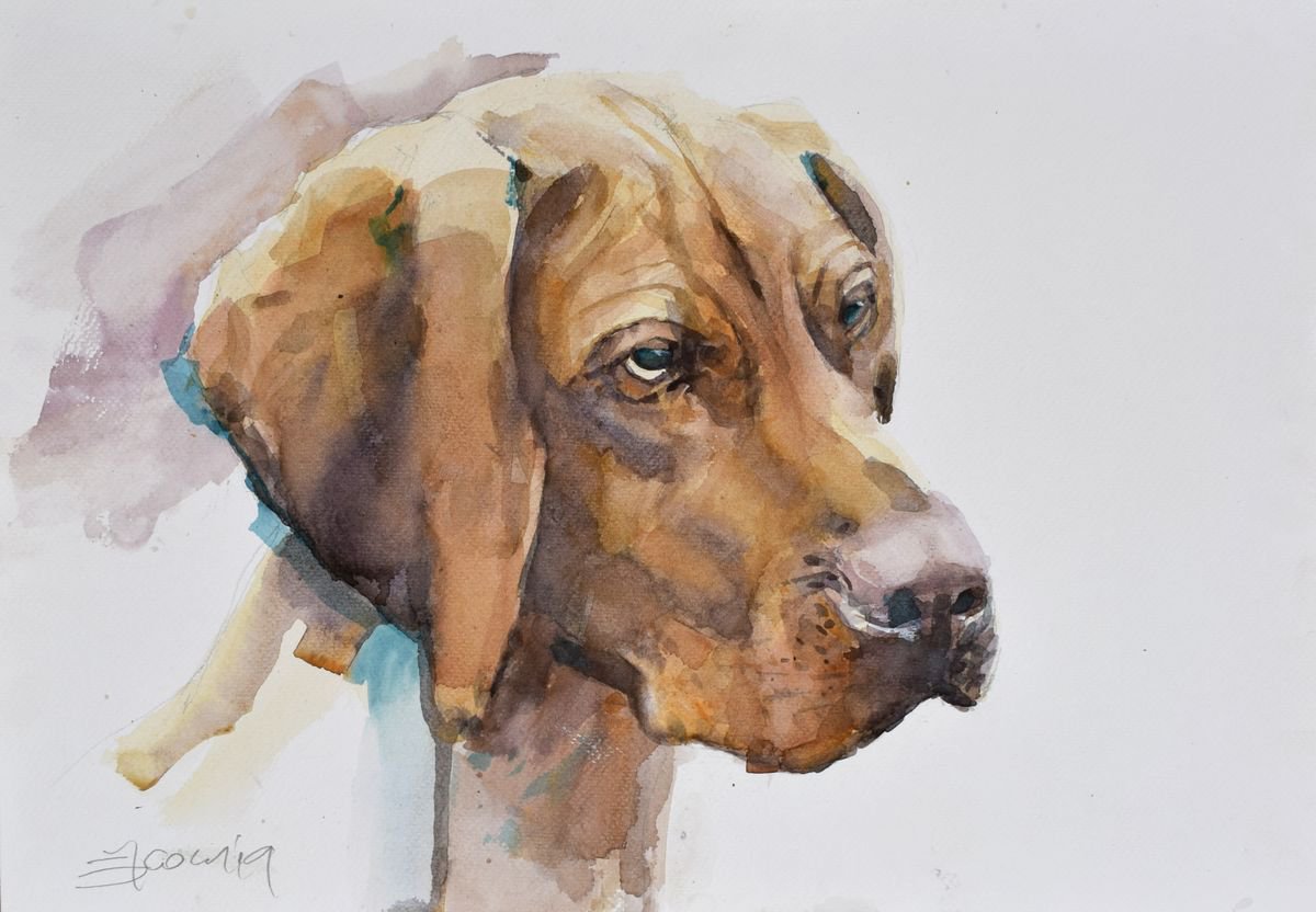 Expressive Animal Watercolour By Goran Zigolic Watercolors, 20 X 14, Head Of A Dog .., Original Artwork
