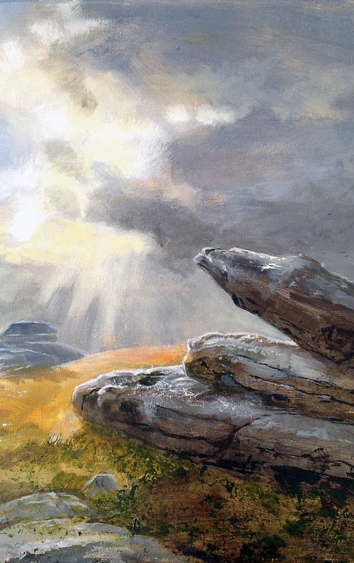 Rabbit Rock, Belstone Tor, Dartmoor by Daniel Loveday