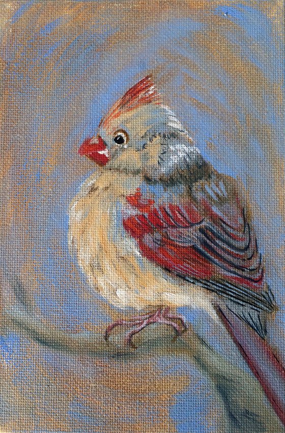 Bird cardinal small painting - Gift for bird lover