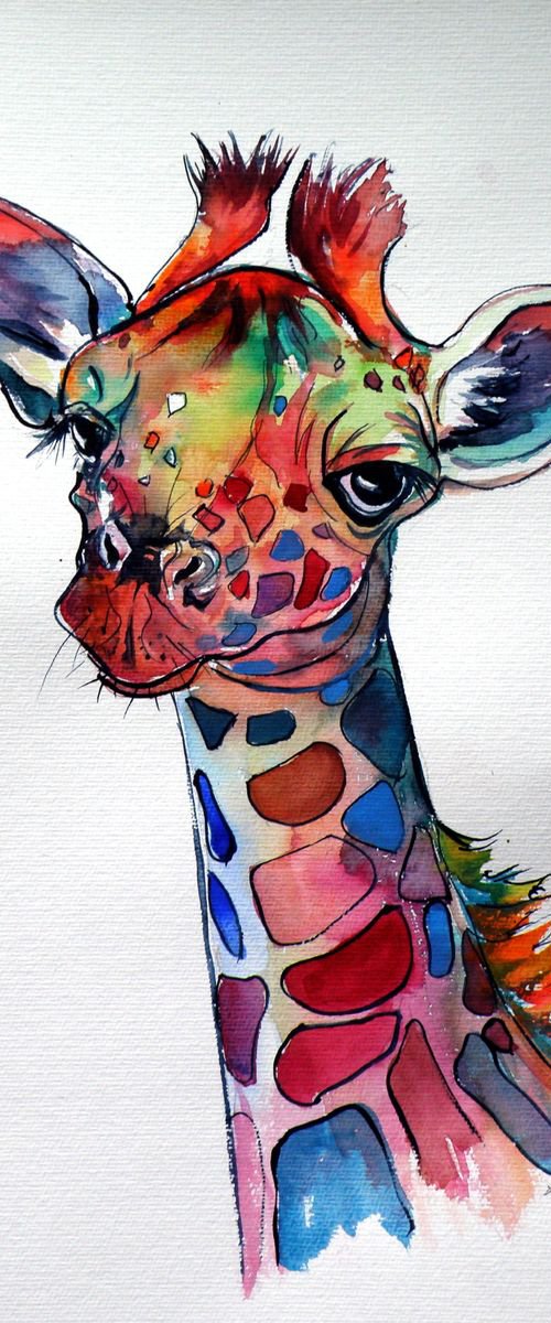 Cute giraffe by Kovács Anna Brigitta