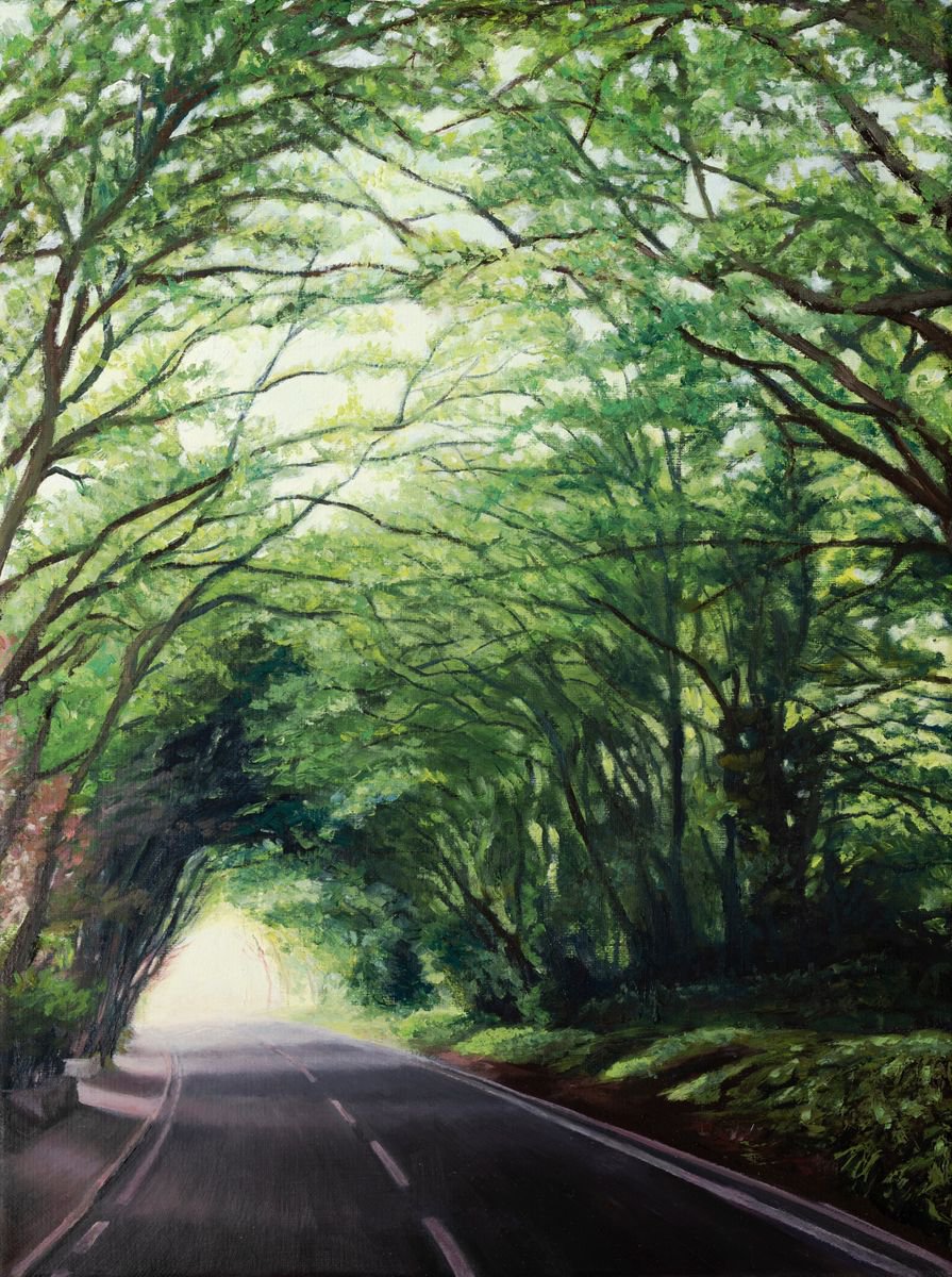 Driving Down Hendon Wood Lane By Diana Sandetskaya, 13 X 17, Artwork For Sale On Artfinder