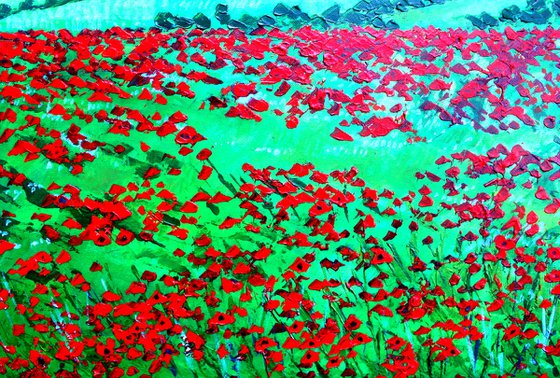 Hampshire Poppy field