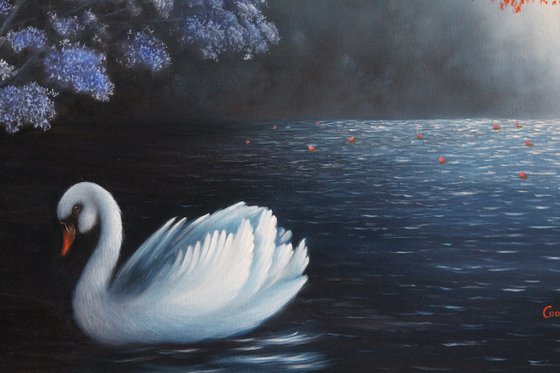 Swan in Lake