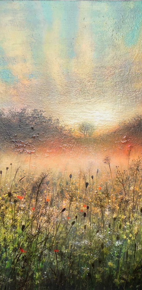 'First Light Across the Meadow' by Jo Starkey