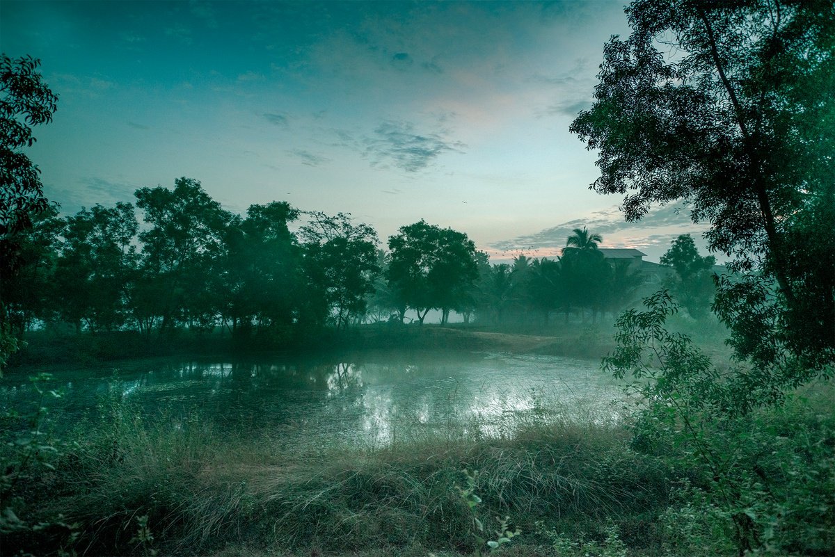 Photorealistic Landscape Photograph By Adam Regan, 24 X 16, The Watering Hole, Original Artwork