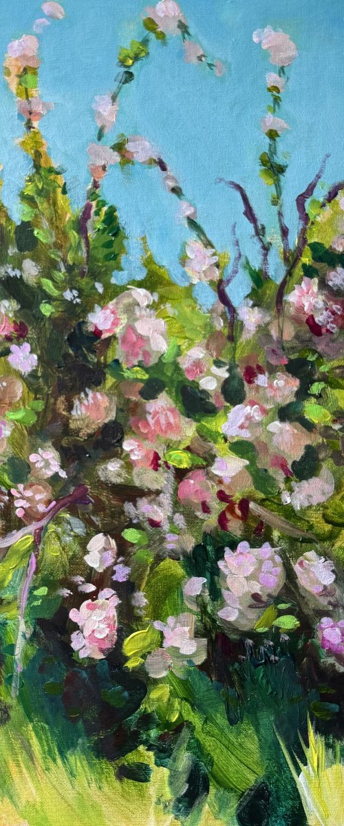 Apple Orchard 2 by Ayse McGowan