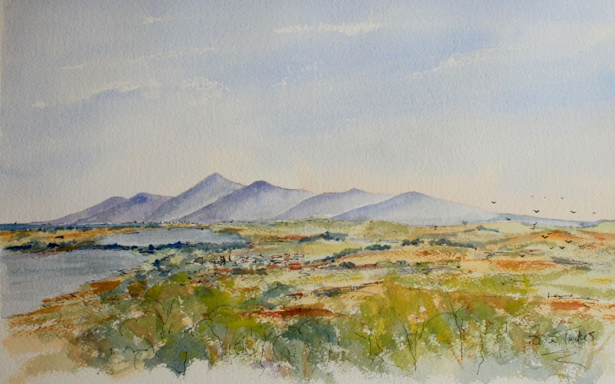 The Mourne Mountains from Dundrum by Brian Tucker