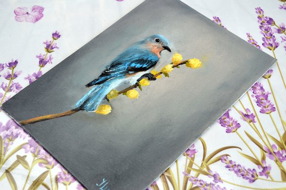 Bird on the willow