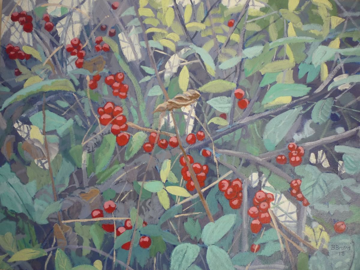 Hedgerow with black bryony berries by Bert Bruins