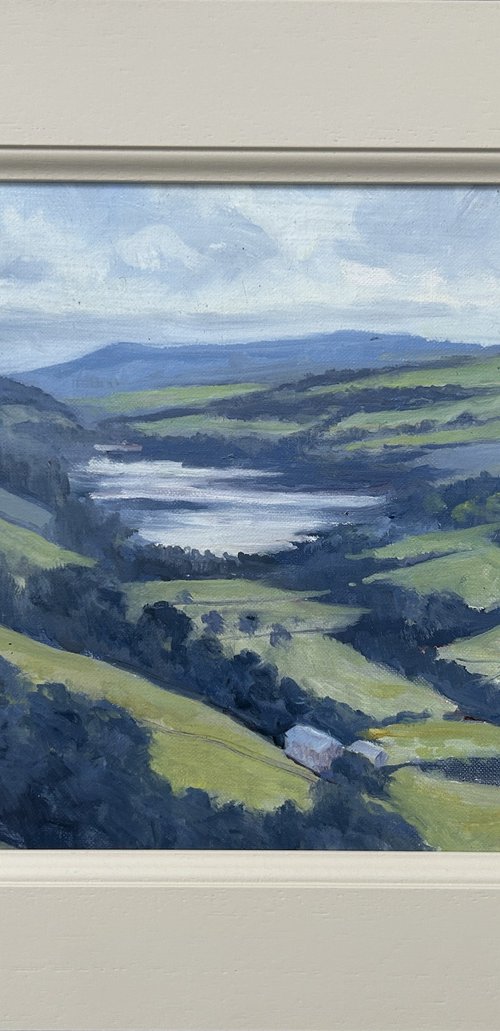 View Over Gouthwaite Reservoir by Andrew Moodie