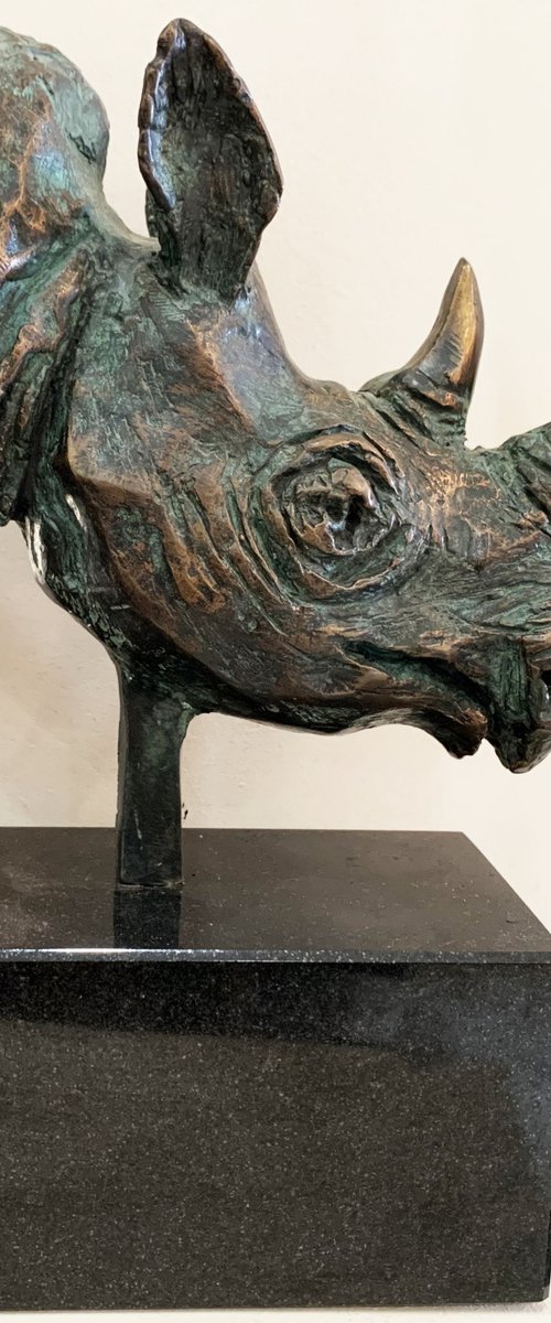 Rhino-head by Toth Kristof