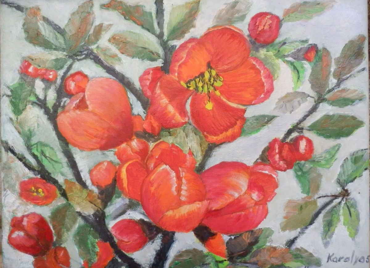 Quince flowers by Maria Karalyos